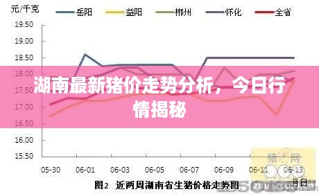 湖南最新猪价走势分析，今日行情揭秘
