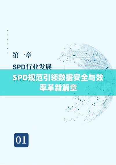 SPD规范引领数据安全与效率革新篇章