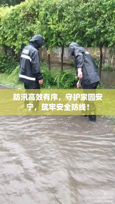 防汛高效有序，守护家园安宁，筑牢安全防线！