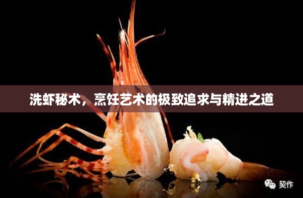 洗虾秘术，烹饪艺术的极致追求与精进之道