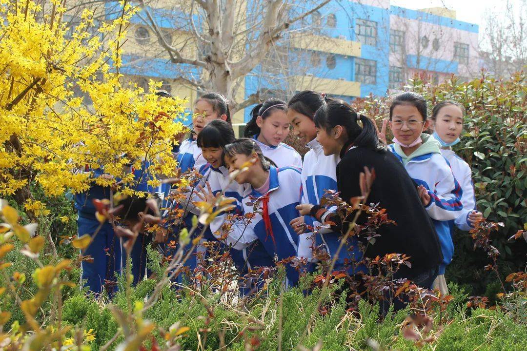 樱花培训学校，培育未来的摇篮之地