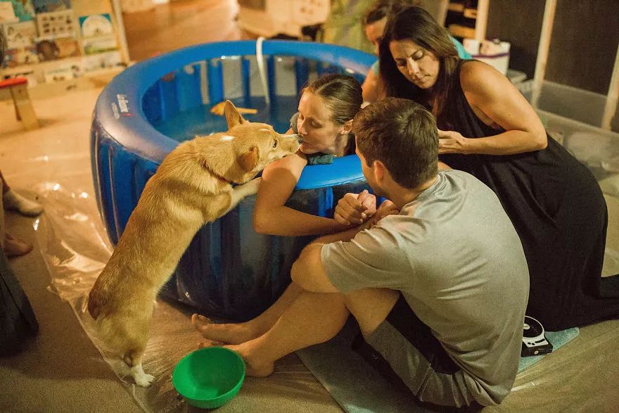 母女家中养猫恶臭扰民，超20只猫咪成问题如何应对？