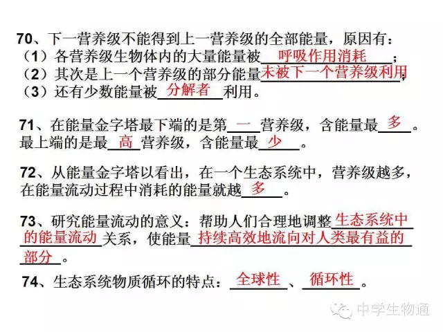 澳门资料揭秘，正版资料大全与轻松学习法极限版8.56