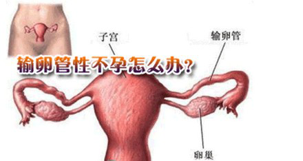 通草功效与作用，疏通输卵管堵塞的神奇疗效及创新版应用解析