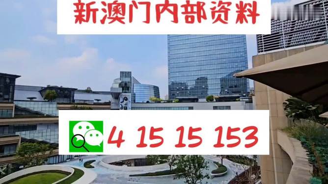 新奥新澳门原料资料揭秘，犯罪行为的警示与警惕_标准版2.06更新摘要