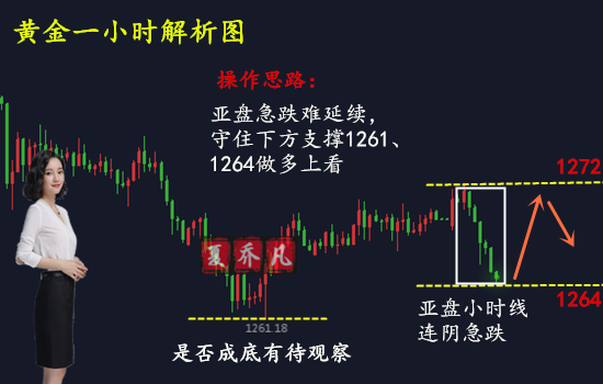 天网行动最新一期揭秘，行动进展与成果