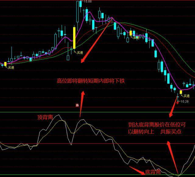 2024香港特马今晚开奖,现行解答解释落实_豪华版75.259