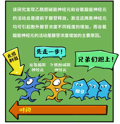 东台肺炎疫情概况更新，最新动态与概况分析