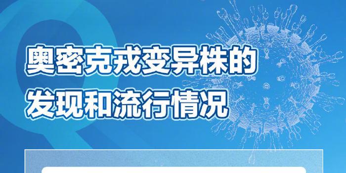 新奥彩资料免费提供,专业问题执行_专家版46.878