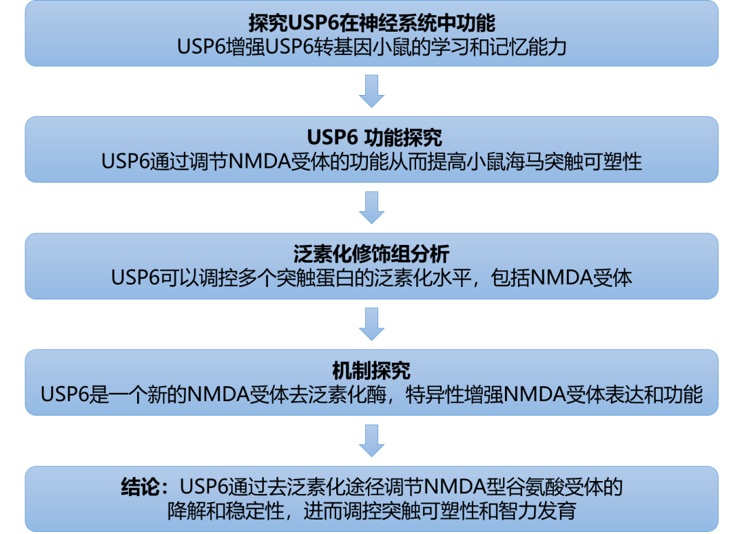 新澳今天最新资料,资源整合策略实施_kit27.417