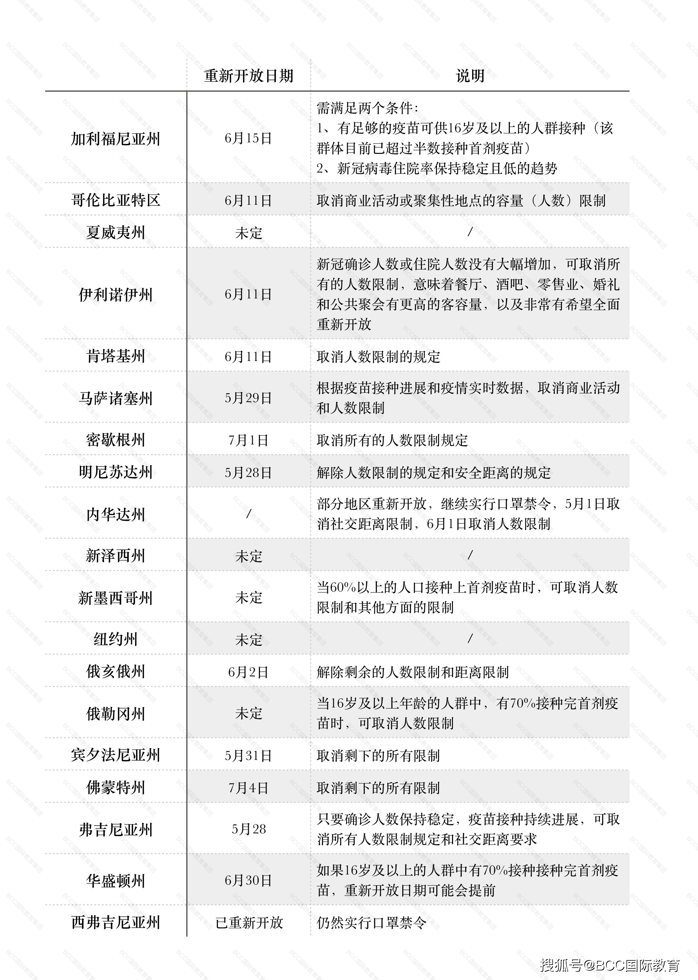 新澳彩,最新解答解释定义_网红版54.890