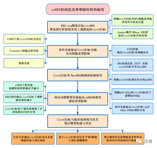 2024年正版资料免费大全一肖,结构化评估推进_OP90.681