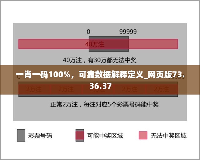 一肖一码100%，可靠数据解释定义_网页版73.36.37