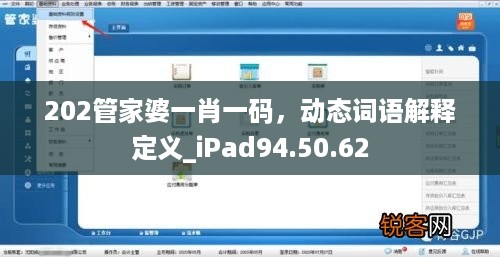 202管家婆一肖一码，动态词语解释定义_iPad94.50.62