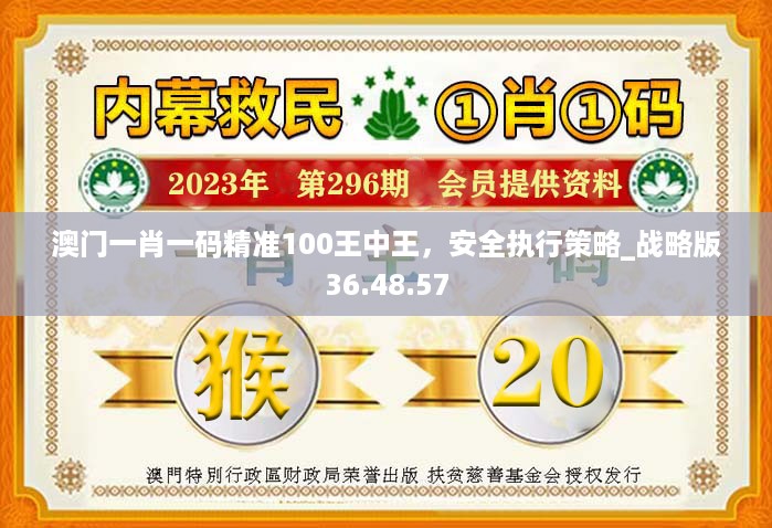 澳门一肖一码精准100王中王，安全执行策略_战略版36.48.57