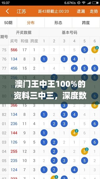 澳门王中王100%的资料三中三，深度数据应用策略_BT57.85.51