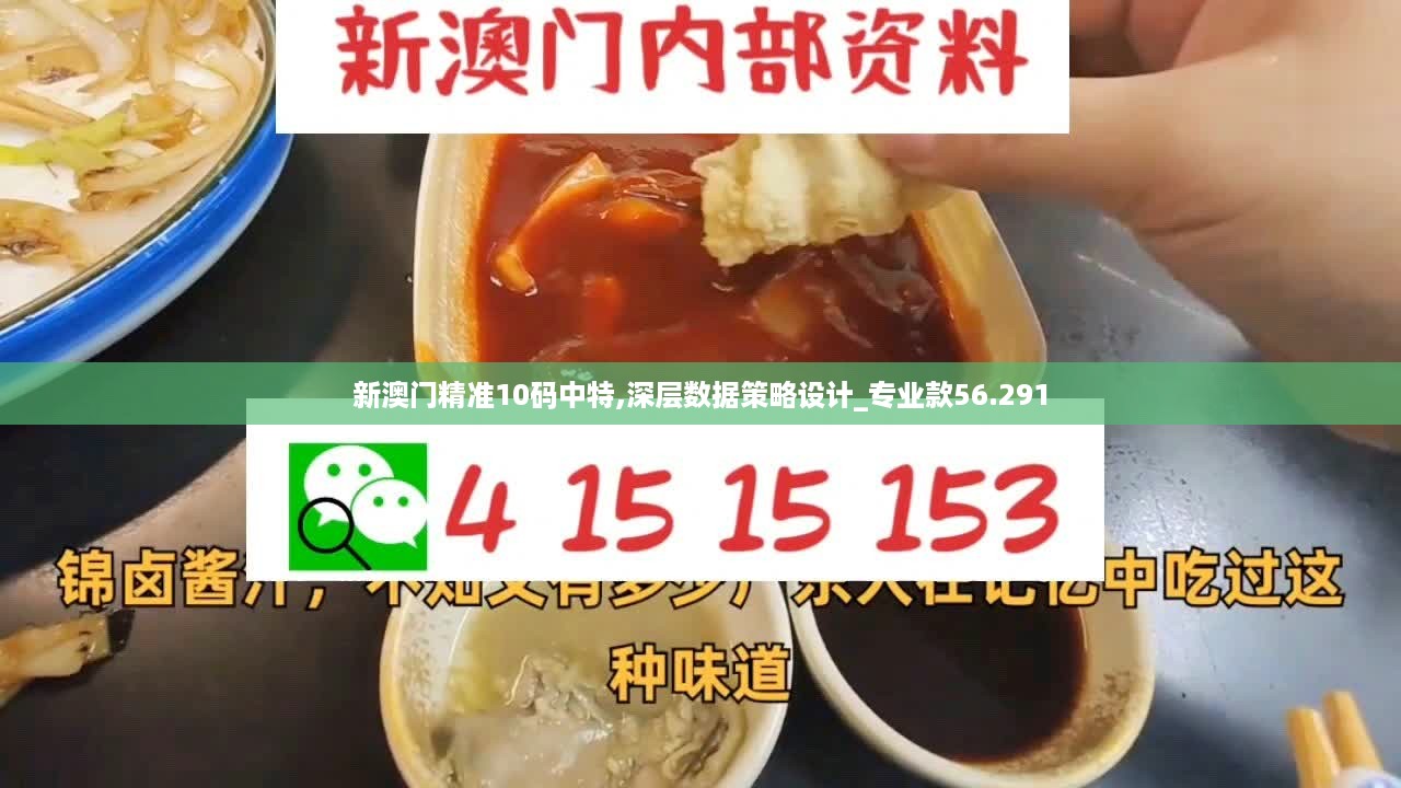 新澳门精准10码中特,深层数据策略设计_专业款56.291