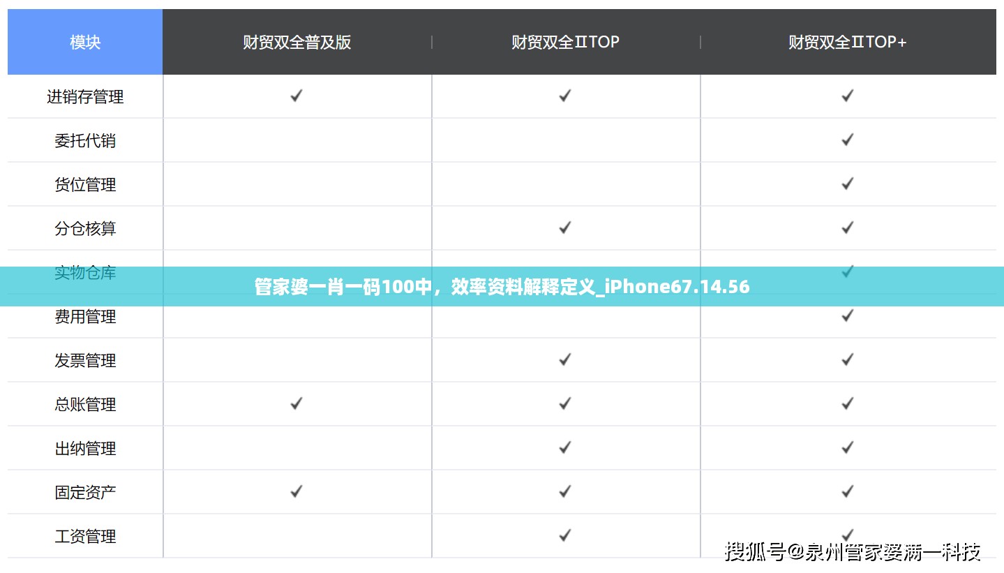 管家婆一肖一码100中，效率资料解释定义_iPhone67.14.56