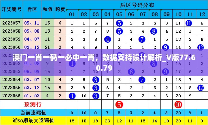 澳门一肖一码一必中一肖，数据支持设计解析_V版77.60.79