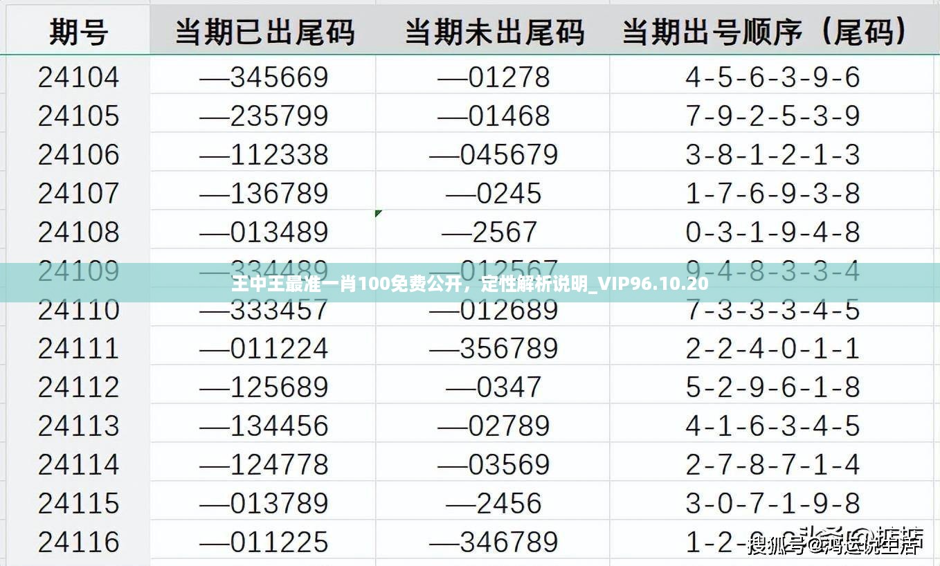 王中王最准一肖100免费公开，定性解析说明_VIP96.10.20