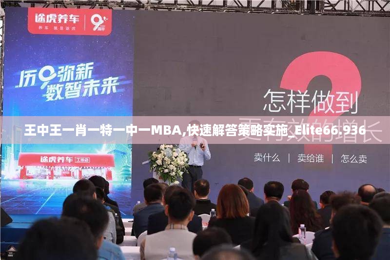 王中王一肖一特一中一MBA,快速解答策略实施_Elite66.936