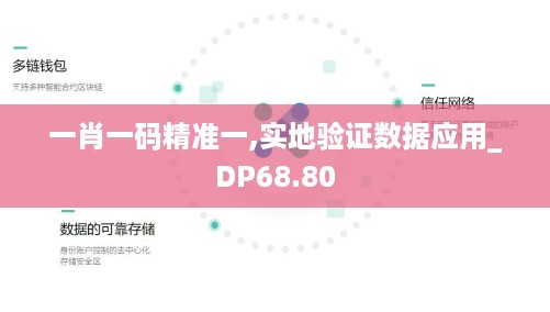 一肖一码精准一,实地验证数据应用_DP68.80