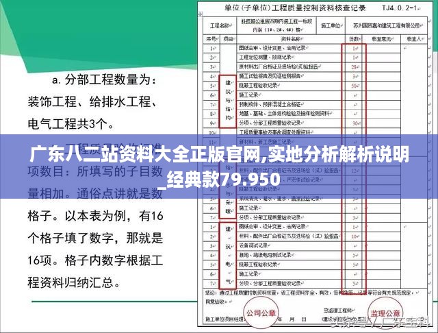 广东八二站资料大全正版官网,实地分析解析说明_经典款79.950