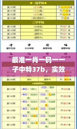 最准一肖一码一一子中特37b，实效性策略解析_ios1.6.83