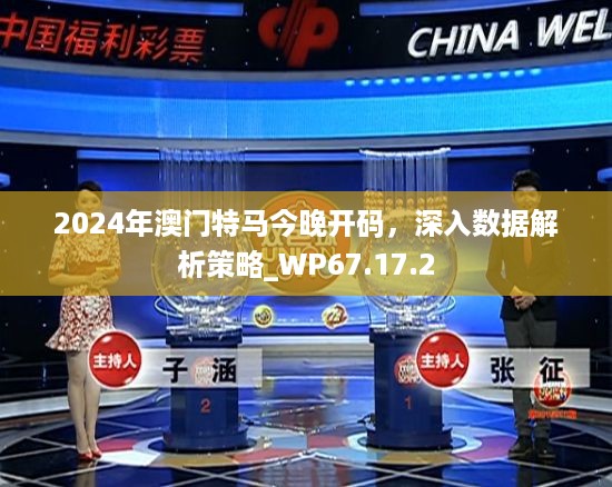 2024年澳门特马今晚开码，深入数据解析策略_WP67.17.2