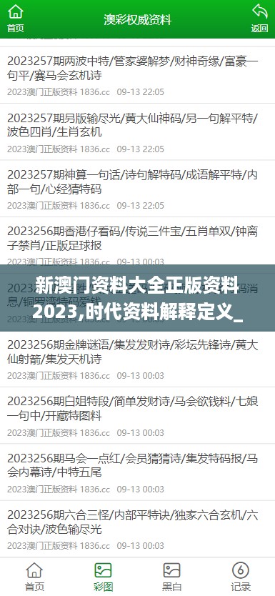 新澳门资料大全正版资料2023,时代资料解释定义_U97.47