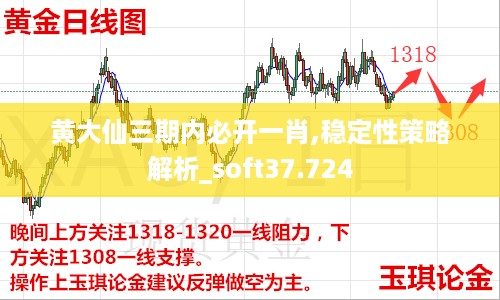 黄大仙三期内必开一肖,稳定性策略解析_soft37.724