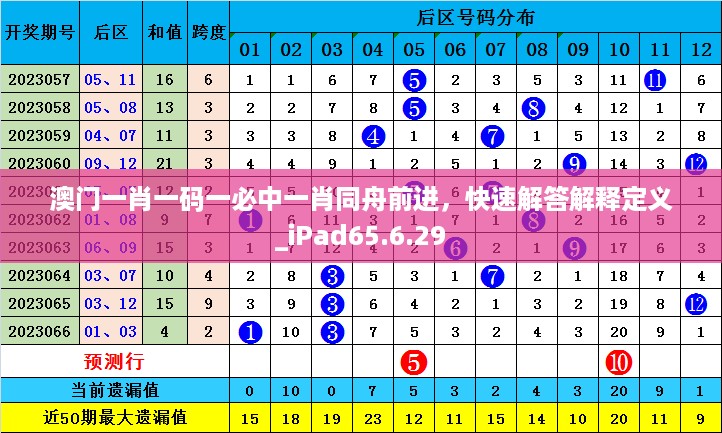 澳门一肖一码一必中一肖同舟前进，快速解答解释定义_iPad65.6.29