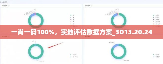 一肖一码100%，实地评估数据方案_3D13.20.24