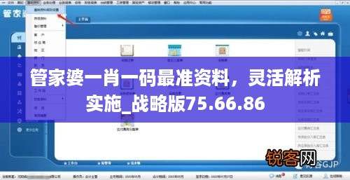 管家婆一肖一码最准资料，灵活解析实施_战略版75.66.86