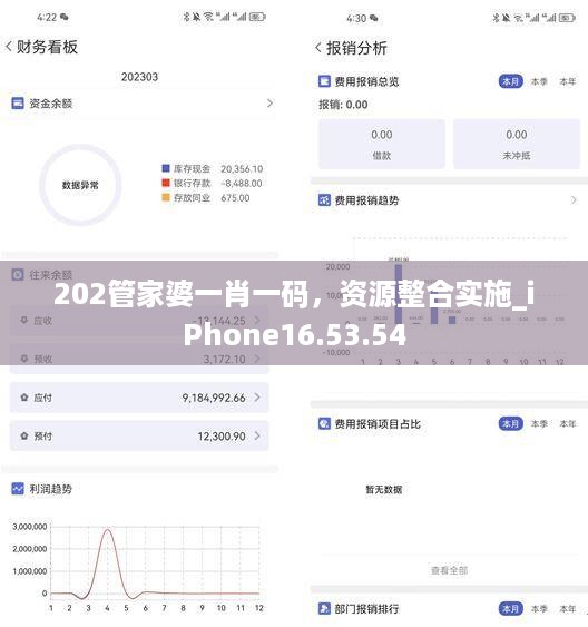 202管家婆一肖一码，资源整合实施_iPhone16.53.54