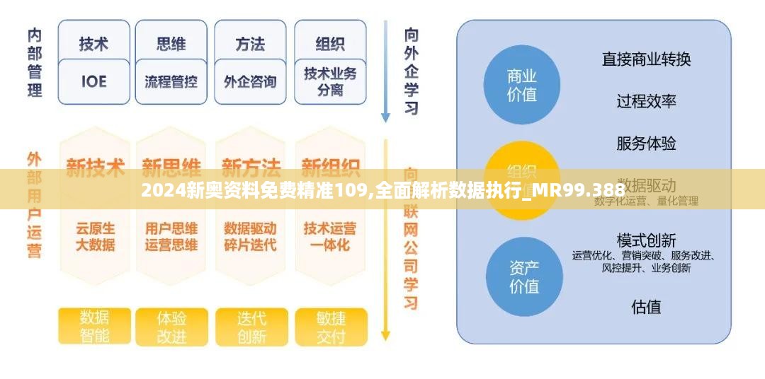 2024新奥资料免费精准109,全面解析数据执行_MR99.388