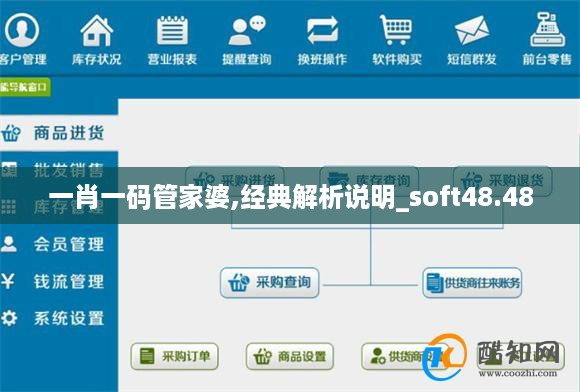 一肖一码管家婆,经典解析说明_soft48.48