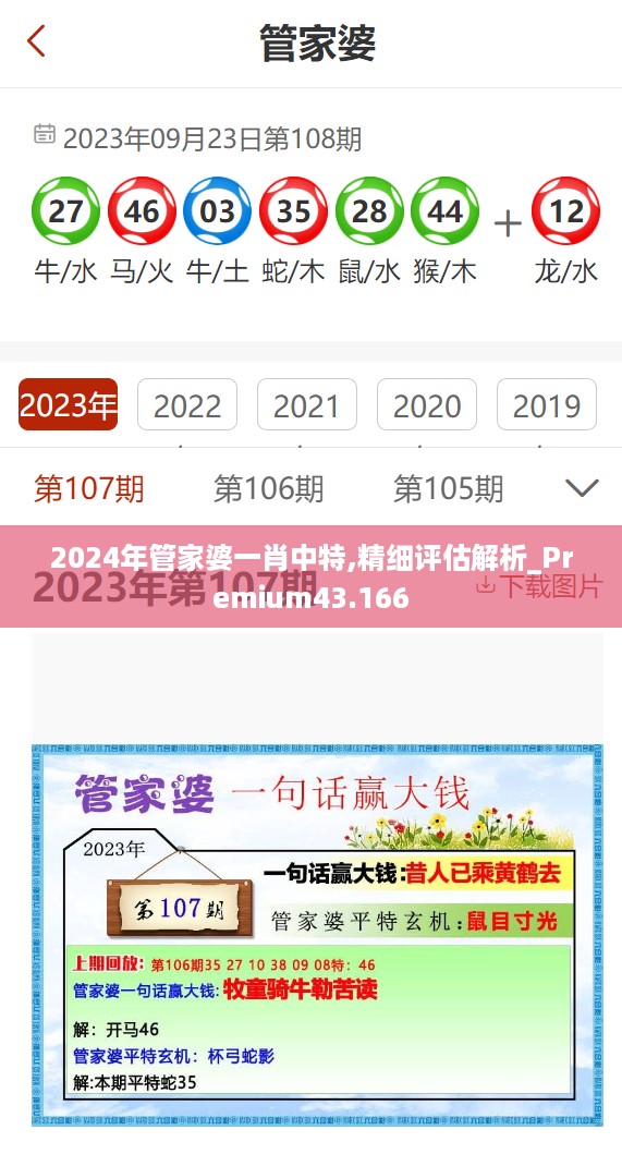 2024年管家婆一肖中特,精细评估解析_Premium43.166