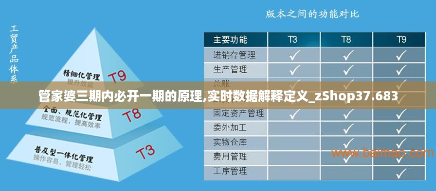 管家婆三期内必开一期的原理,实时数据解释定义_zShop37.683