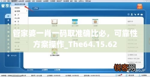 管家婆一肖一码取准确比必，可靠性方案操作_The64.15.62