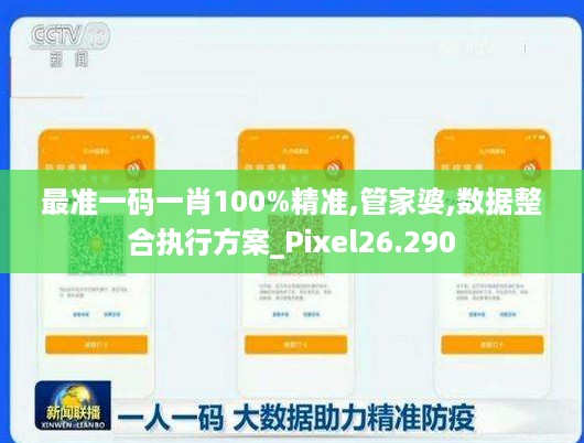 最准一码一肖100%精准,管家婆,数据整合执行方案_Pixel26.290