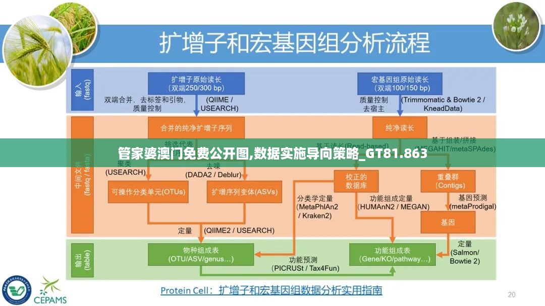 管家婆澳门免费公开图,数据实施导向策略_GT81.863