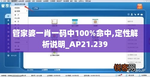 管家婆一肖一码中100%命中,定性解析说明_AP21.239