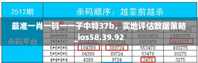 最准一肖一码一一子中特37b，实地评估数据策略_ios58.39.92