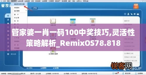 管家婆一肖一码100中奖技巧,灵活性策略解析_RemixOS78.818