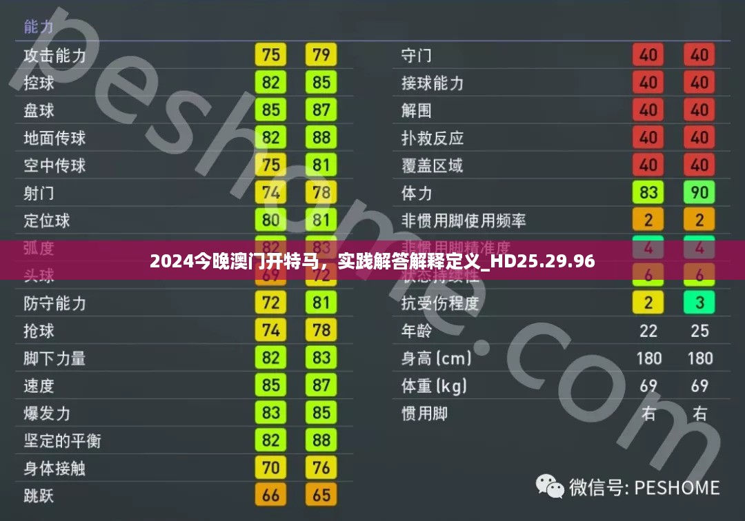 2024今晚澳门开特马，实践解答解释定义_HD25.29.96