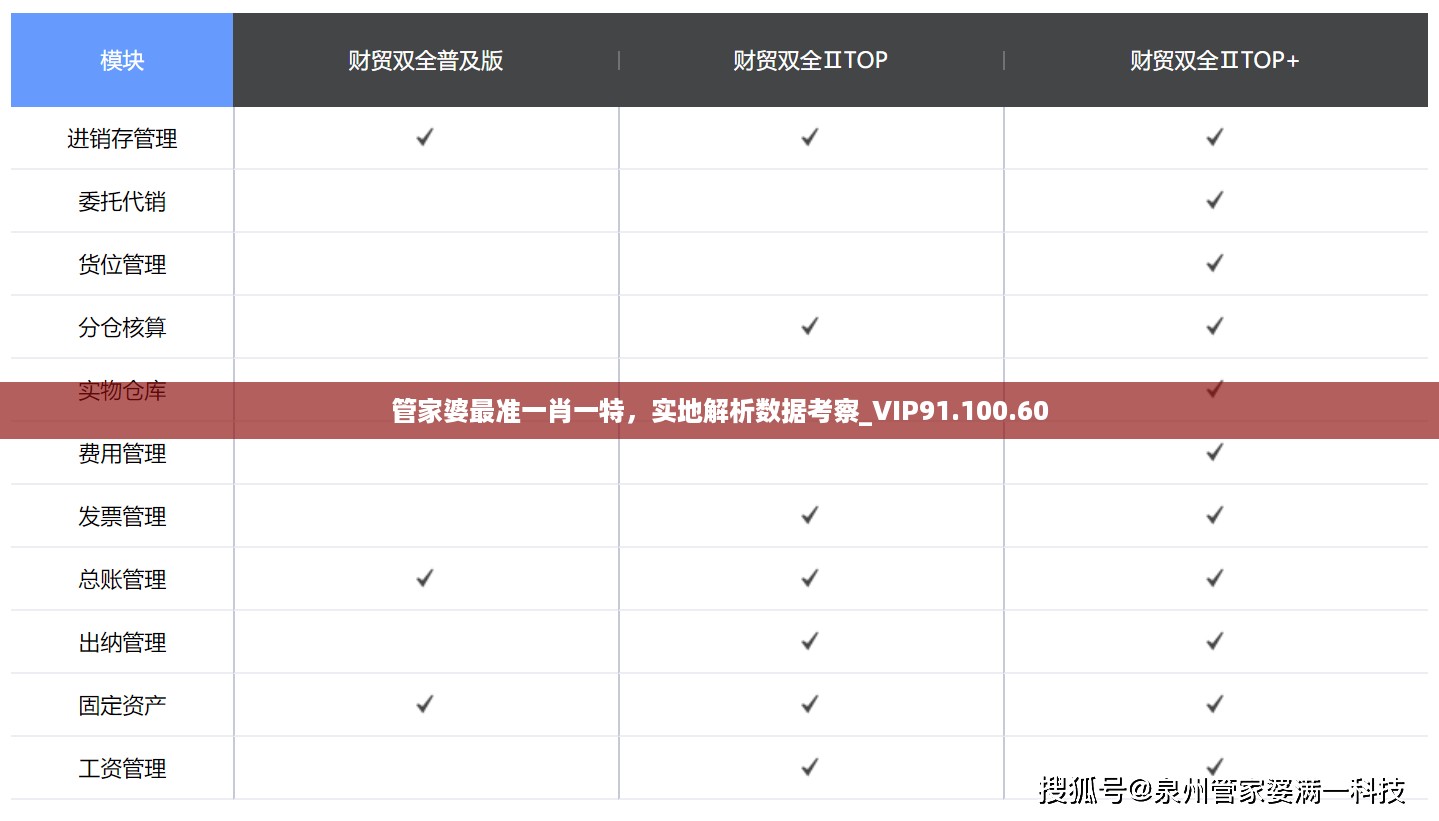 管家婆最准一肖一特，实地解析数据考察_VIP91.100.60