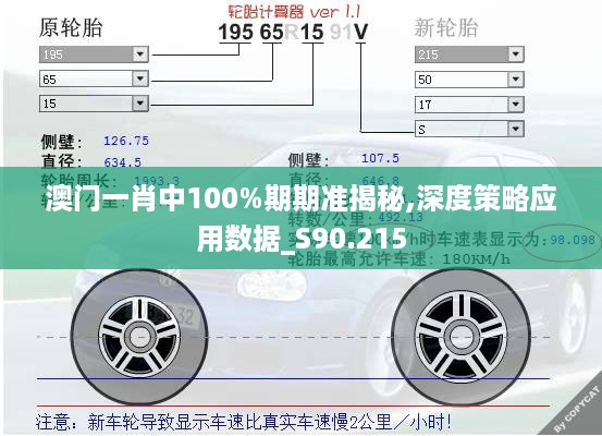 澳门一肖中100%期期准揭秘,深度策略应用数据_S90.215