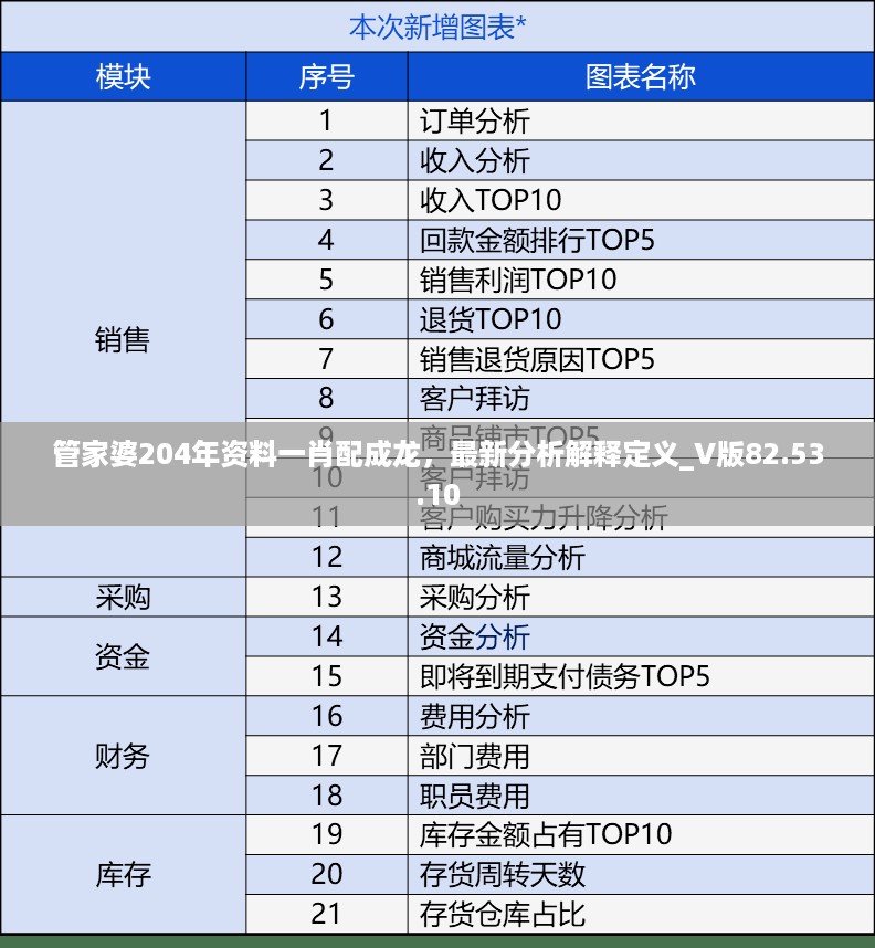 管家婆204年资料一肖配成龙，最新分析解释定义_V版82.53.10