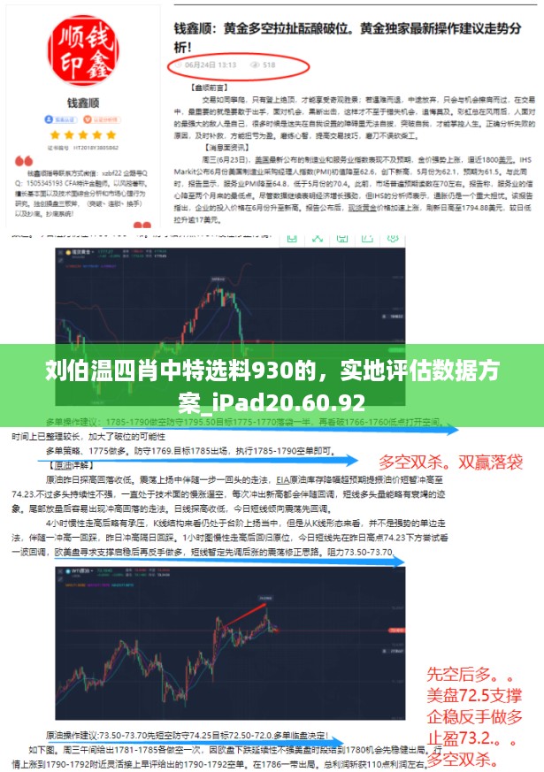 刘伯温四肖中特选料930的，实地评估数据方案_iPad20.60.92